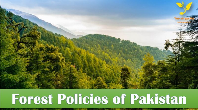 Forest Policies of Pakistan - A Critical Analysis, Suggestions and Recommendations - forestrypedia.com