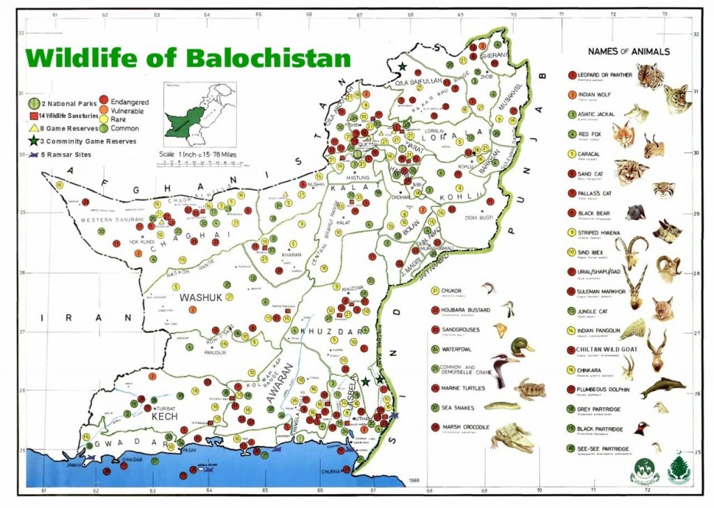 Wildlife Map of Balochistan - forestrypedia