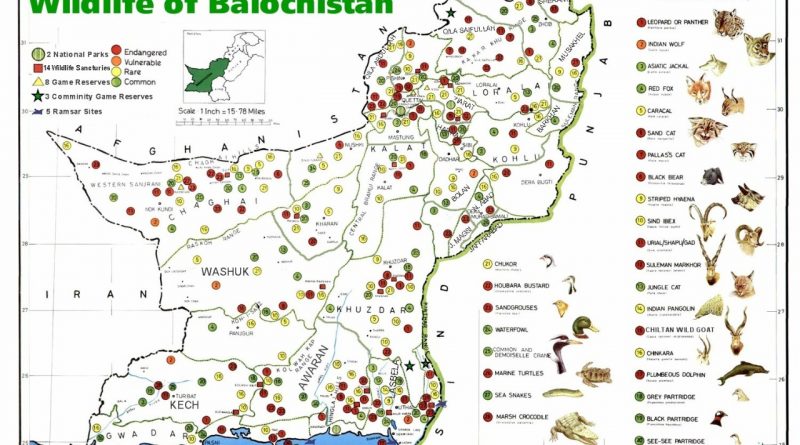 Wildlife Map of Balochistan - forestrypedia