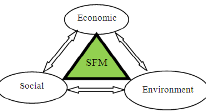 Sustainable Forest Management (SFM)
