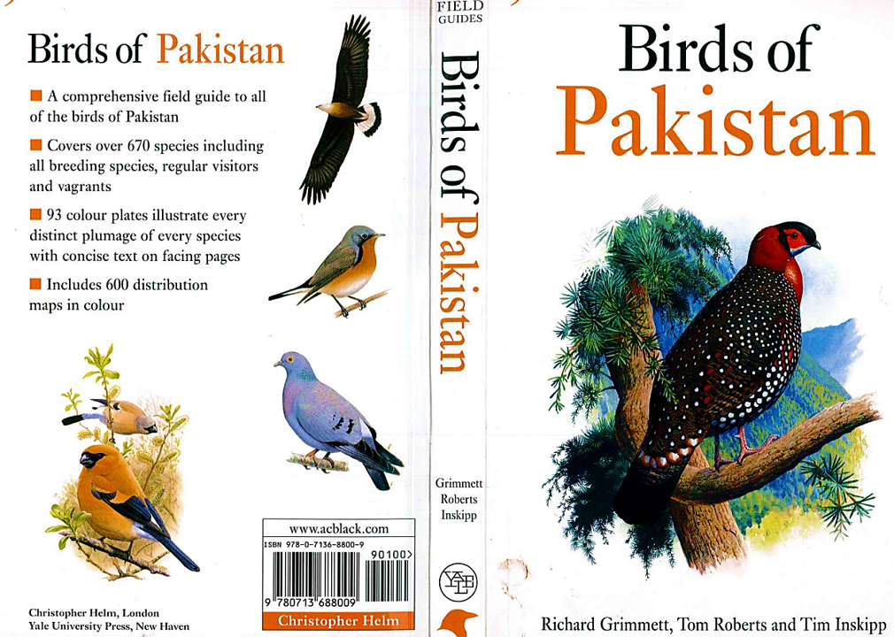 Birds of Pakistan: A Comprehensive Guide - Forestrypedia