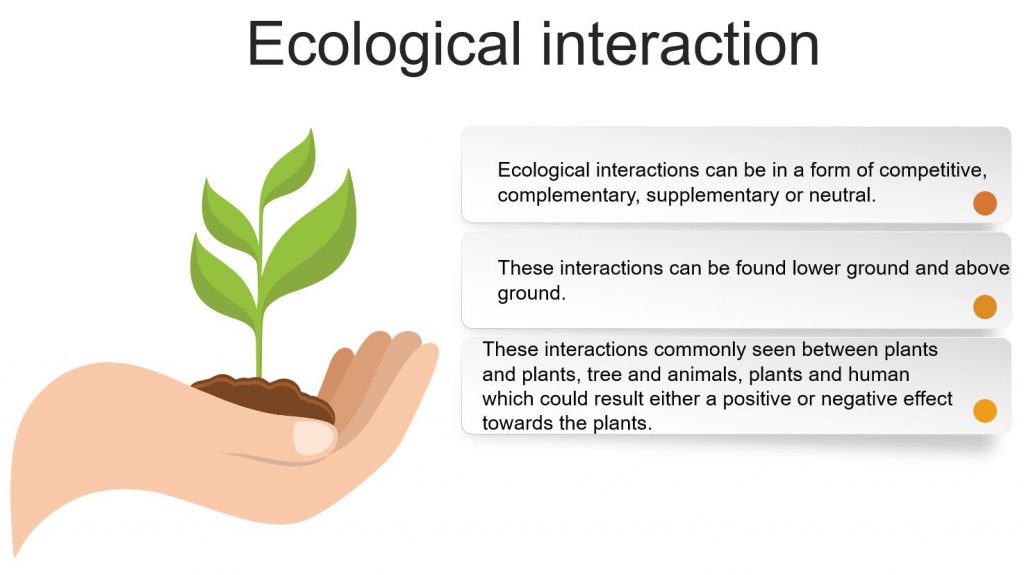 Ecological Interactions and Productivity in Agroforestry System (PowerPoint Presentation) - forestrypedia.com 