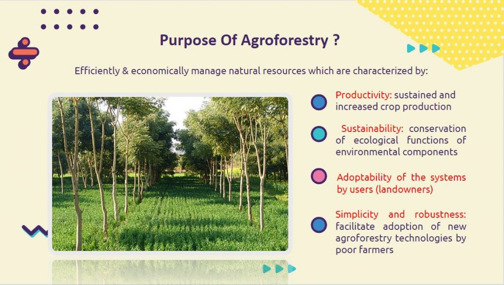 Agroforestry (PowerPoint Presentation) - forestrypedia.com