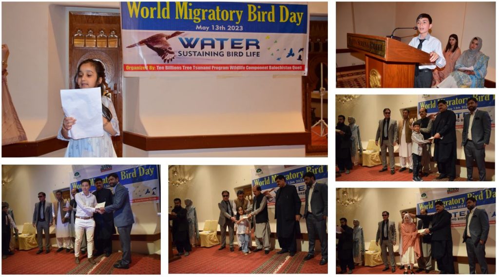 World Migratory Bird Day Celebrated with Enthusiasm at Quetta Balochistan - forestrypedia.com
