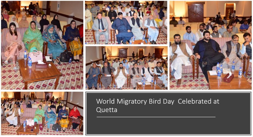 World Migratory Bird Day Celebrated with Enthusiasm at Quetta Balochistan - forestrypedia.com