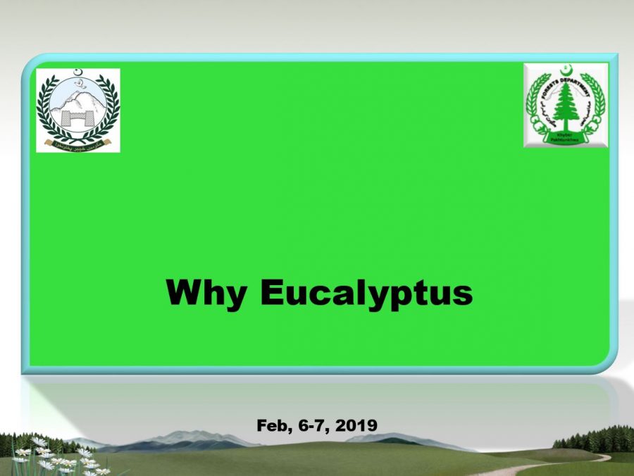 Advantages of Eucalyptus Species