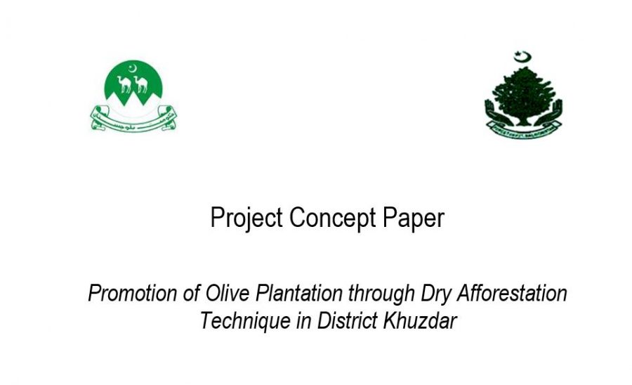 Promotion of Olive Plantation through Dry Afforestation Technique in District Khuzdar