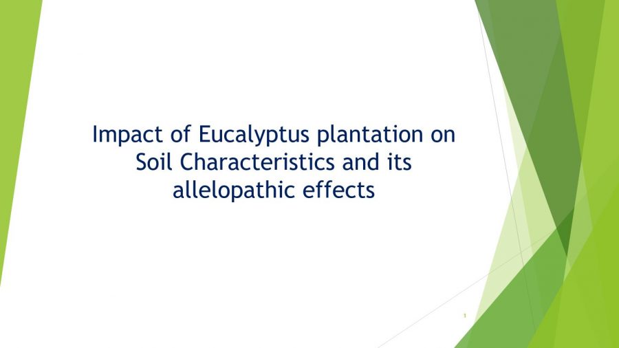 Impact of Eucalyptus Plantation on Soil Characteristics and its Allelopathic Effects