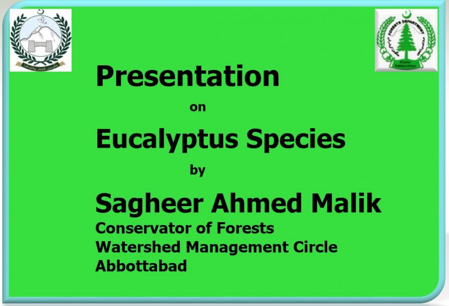 Presentation on Eucalyptus Species