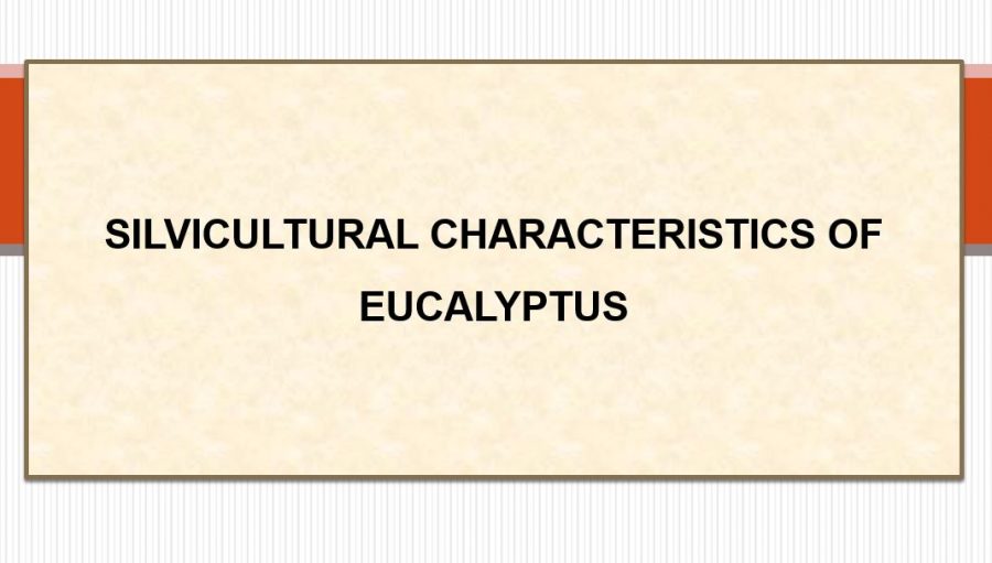 Silvicultural Characteristics of Eucalyptus Species